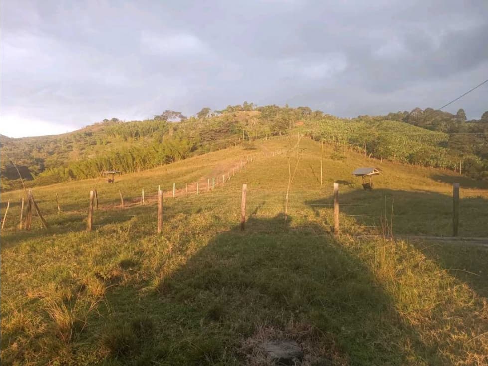 TERRENO EN VENTA VALLE DEL CAUCA - 1