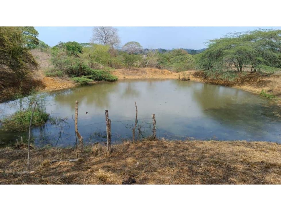 TERRENO EN VENTA VIA MONTERIA- PLANETA RICA - 1