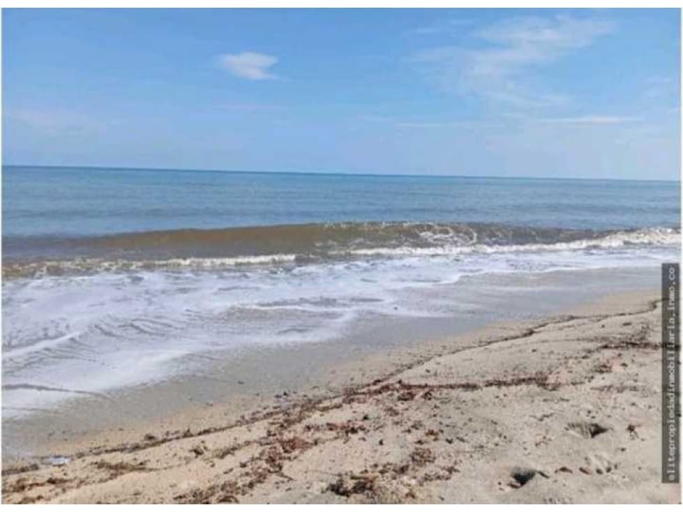 Tu Lote frente Al Mar Palomino Santa Marta Colombia - 1