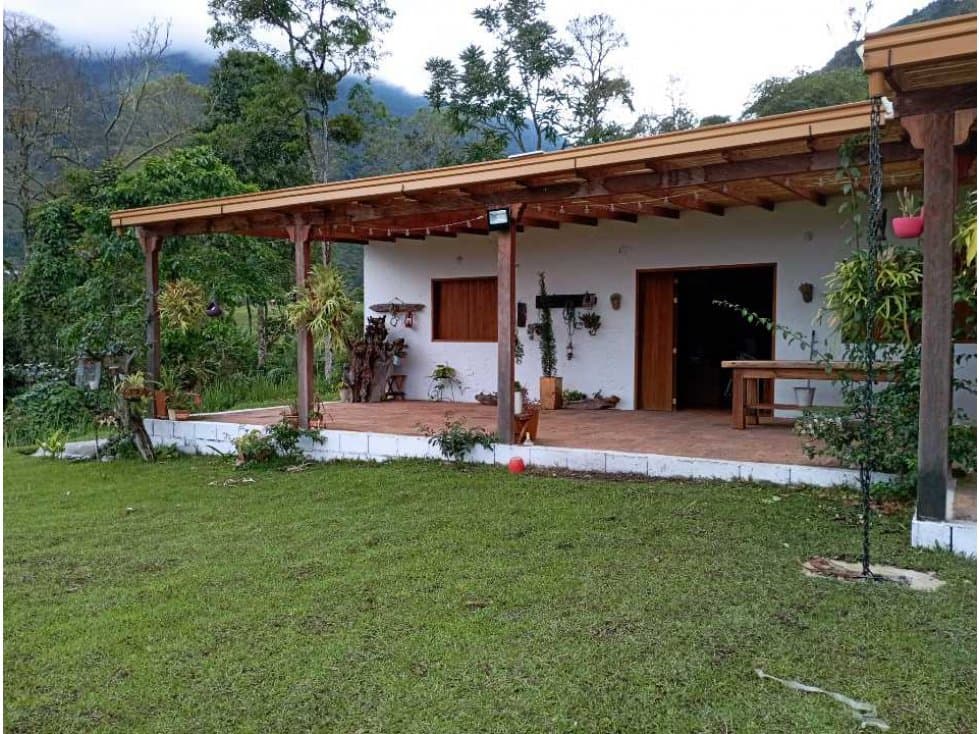VENDE FINCA TAMESIS, SUROESTE ANTIOQUEÑO - 1