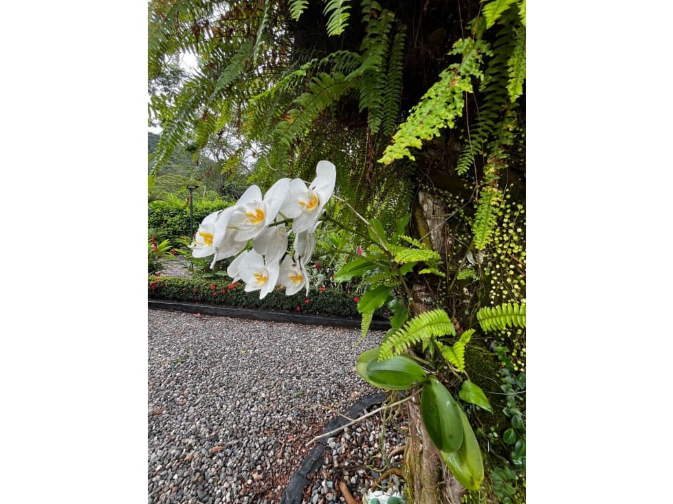 Vendo casa campestre vereda La Argentina Villavicencio - 1