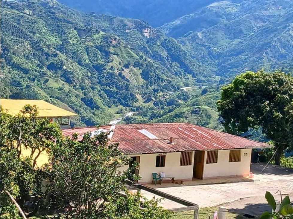 VENDO EXCELENTE FINCA VIA FRESNO CASABIANCA CON DIVERSIDAD DE CULTIVOS - 1