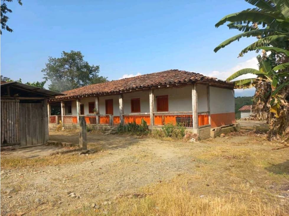 Vendo Finca Cafetera Dep de Caldas - 1