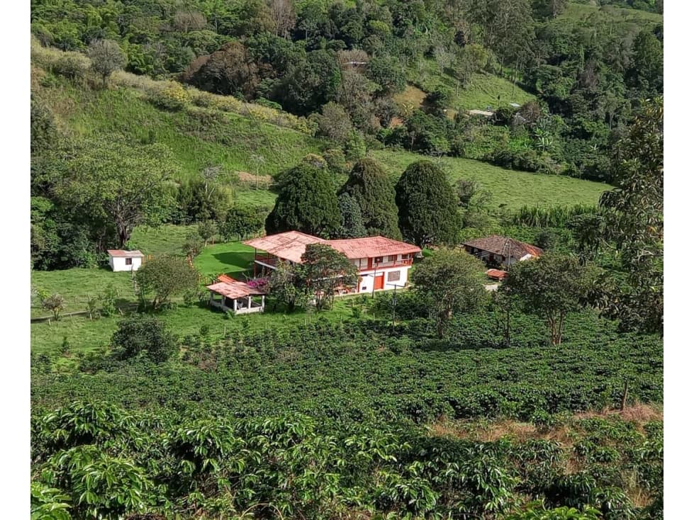 Vendo finca cerca a timbio CAUCA W9267566CG - 1