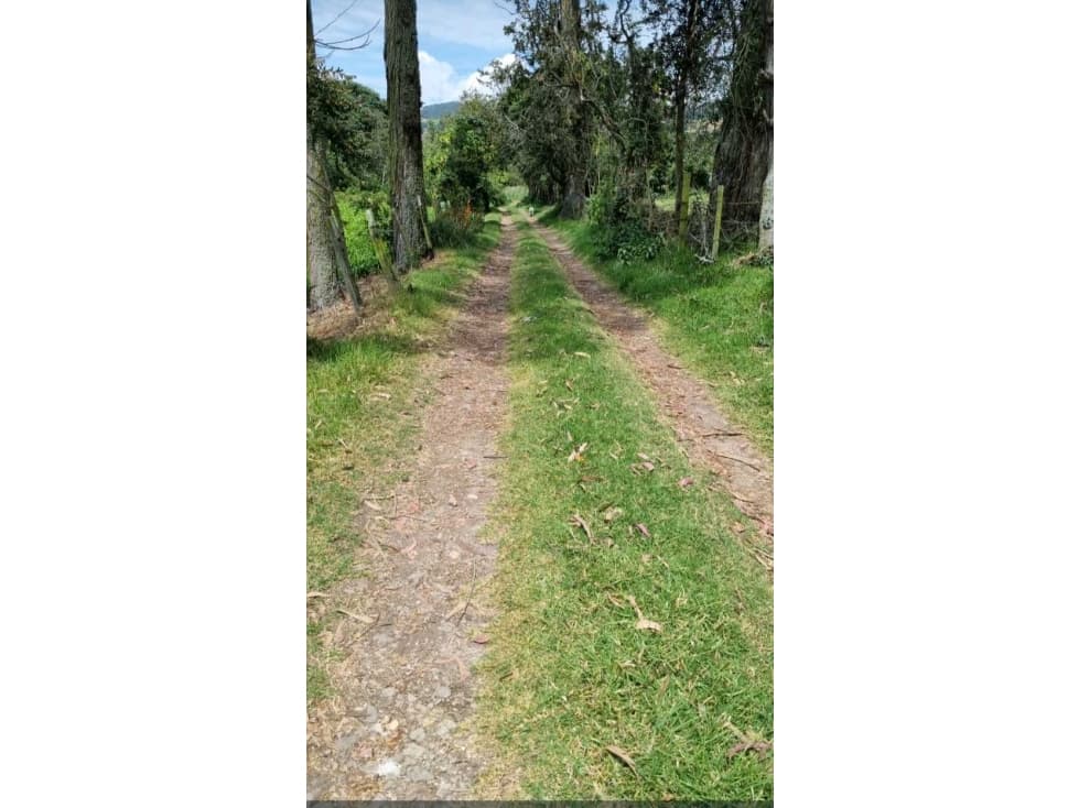 VENDO FINCA EL VINO FACA ROSAL (GU) - 1