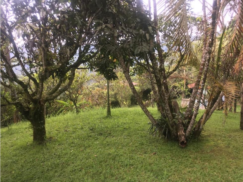 VENDO FINCA SAN FRANCISCO CUNDINAMARCA - 1