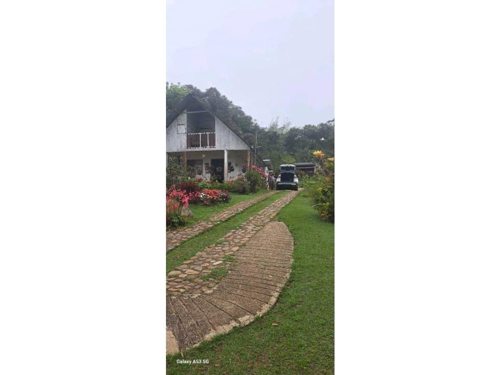 VENDO FINCA CORREGIMIENTO SAN BERNARDO DAGUA LJ 9803945 - 1