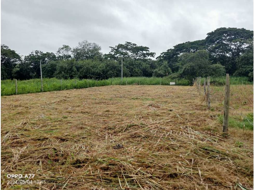 VENDO LOTE # 19 PLANO EN CONJUNTO SAN ANTONIO DE APULO - 1