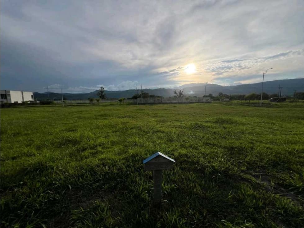 VENDO LOTE CAMPESTRE VIA VITERBO- LA VIRGINIA CERCA AL PEAJE ACAPULCO - 1