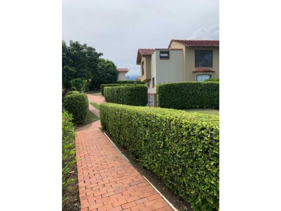 VENDO LOTE EN ANAPOIMA CONJUNTO CAMPESTRE ALTO DE LA ESPERANZA - 1