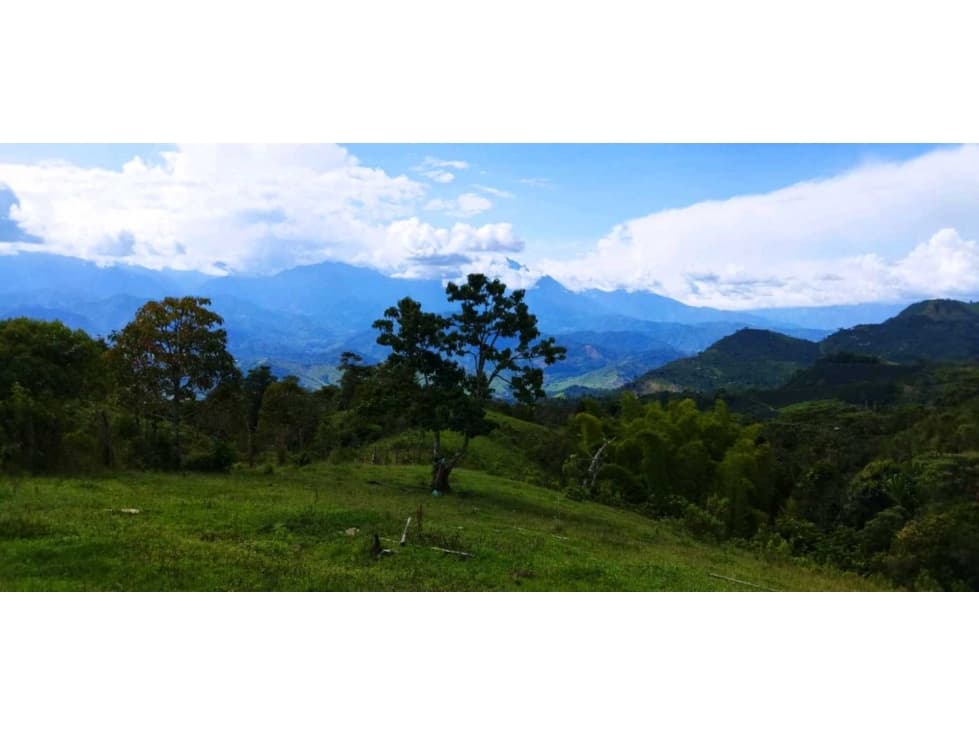 VENDO LOTE EN LOS ANDES ANTIOQUIA - 1