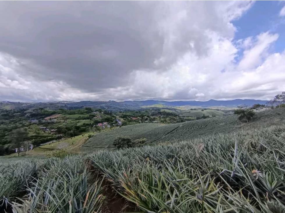 Vendo lote Kilometro 34 Borrero ayerve CJ 9807793 - 1