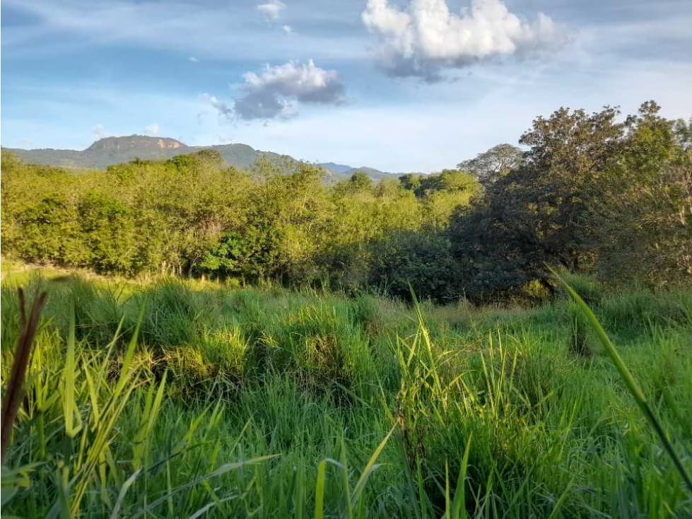 Vendo Lote La Pintada en Urbanización Cerrada - 1