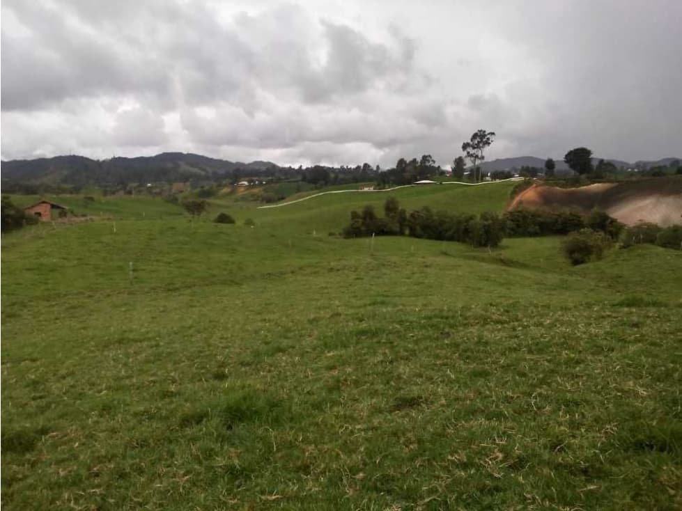 VENDO LOTE PROINDIVISO EN LA UNIÓN - VEREDA LA MADERA* - 1