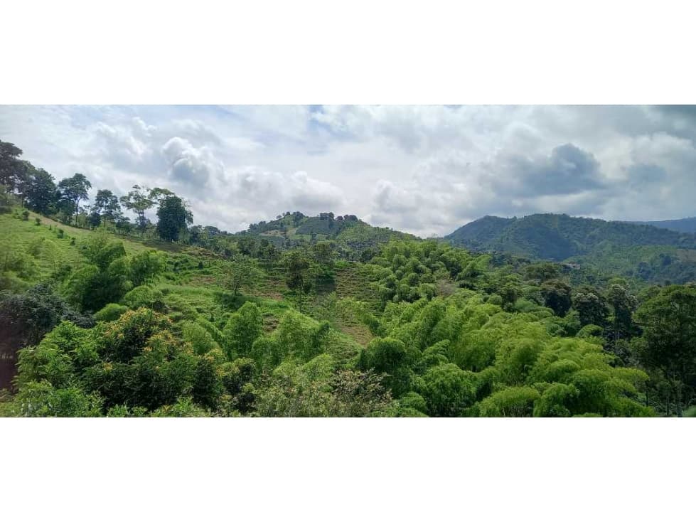 Vendo lotes en la cabaña desde 648 mt2 - 1