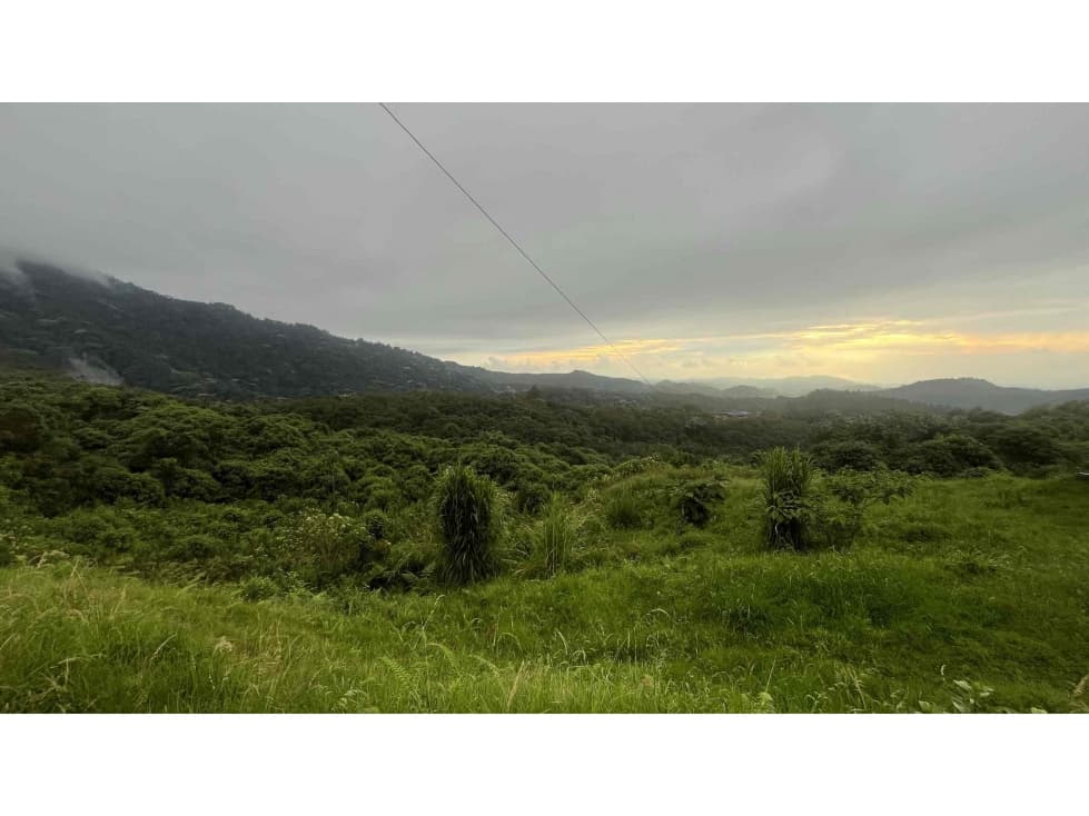 Vendo o Permuto Lote de 15 Cuadras en Santa Rosa de Cabal - 1