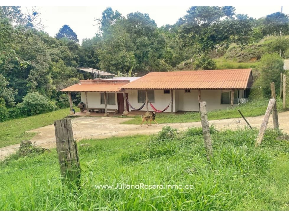 VENDO PARCELA CON CASA A 10 MINUTOS DE POPAYAN - 1