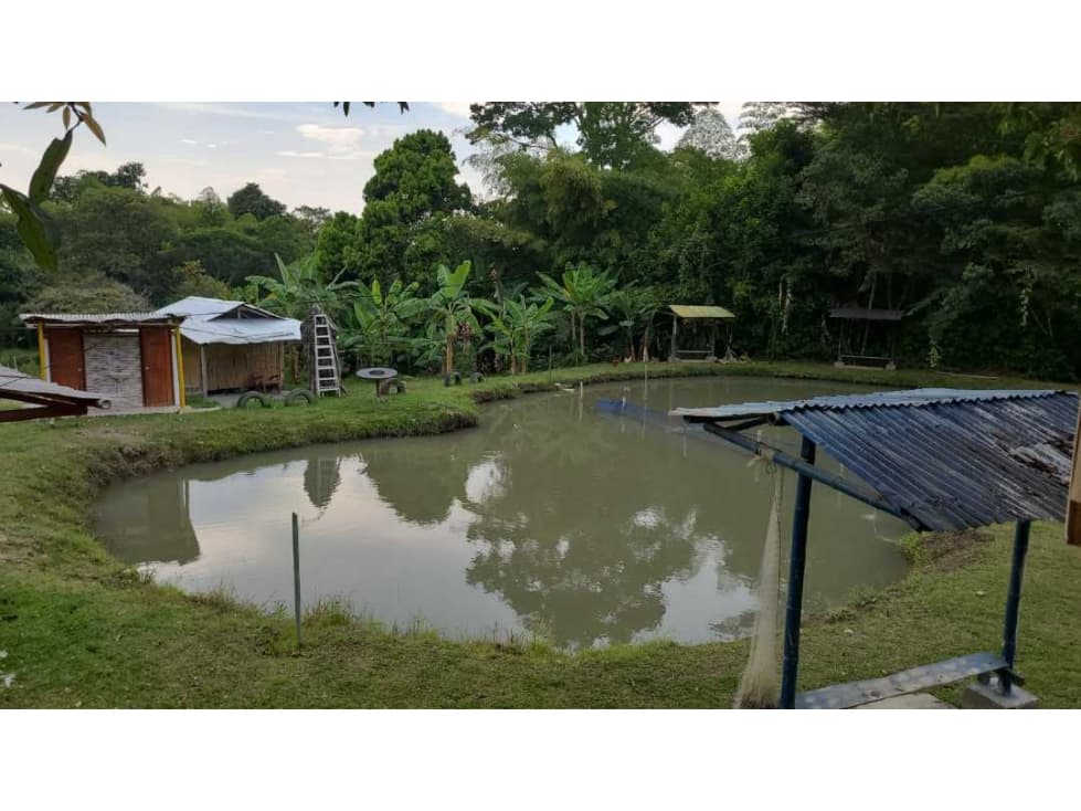 VENTA Casa Finca productiva con Dos lagos de pesca - 1