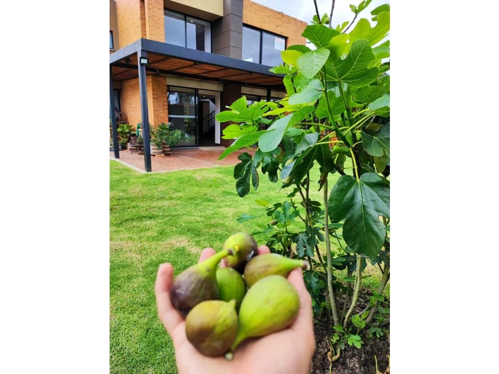 Venta de Casa en Refugio del Valle, Km 20 Vía la Calera - Sopó - 1