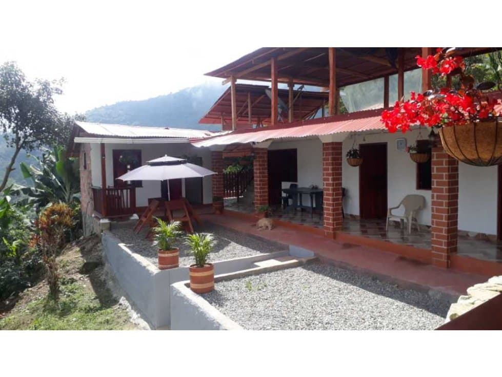 VENTA FINCA CAFETERA,TAMESIS SUROESTE ANTIOQUEÑO - 1