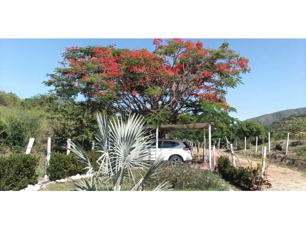 Venta de finca de 1 hectárea de 450 mill en Tocaima Cund, COL - 1