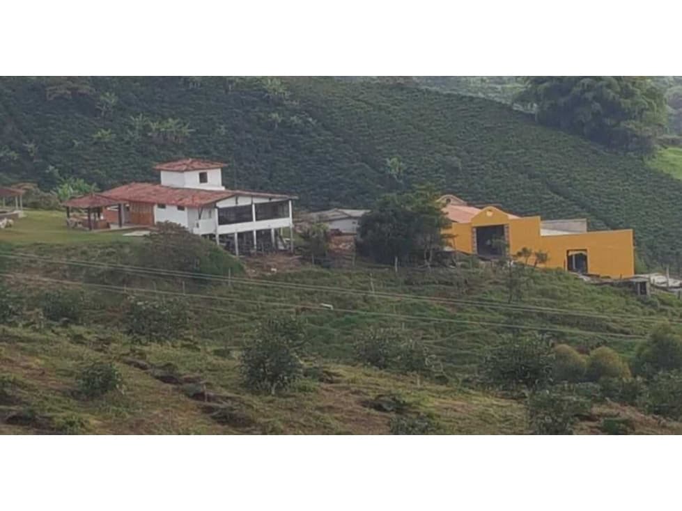 VENTA DE FINCA EN FREDONIA SECTOR COMBIA - 1