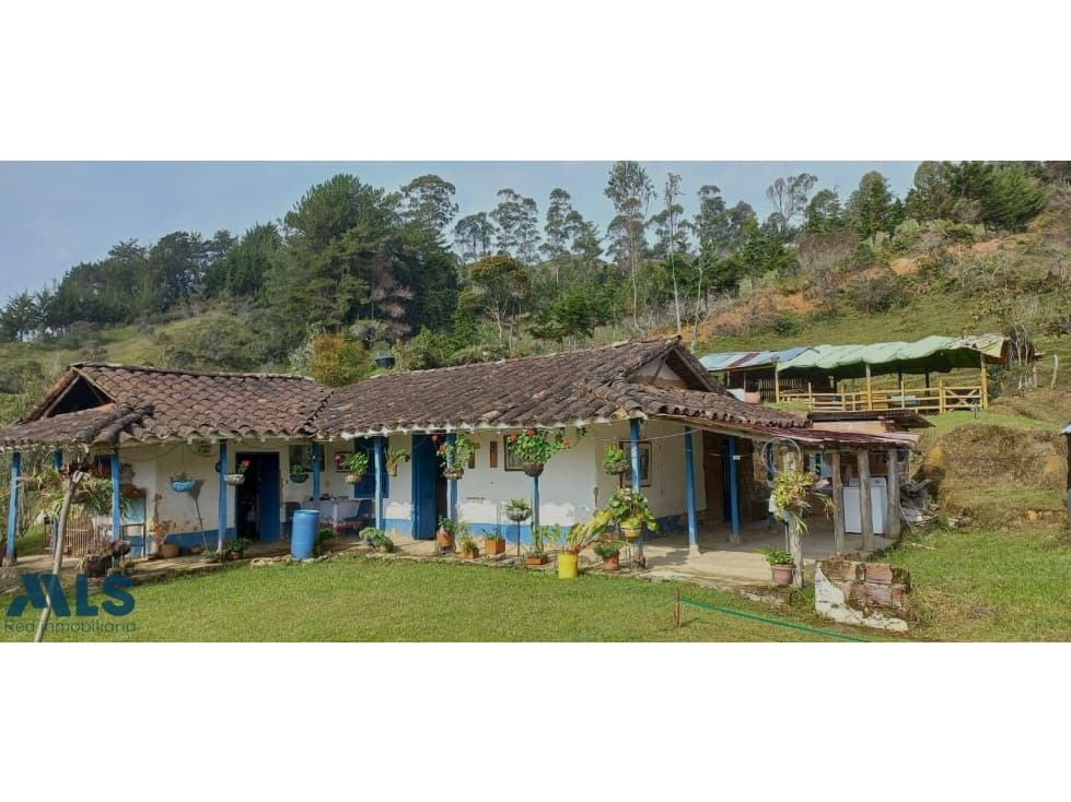 VENTA DE FINCA RUMAZON SANTO DOMINGO ANTIOQUIA(MLS#257300) - 1