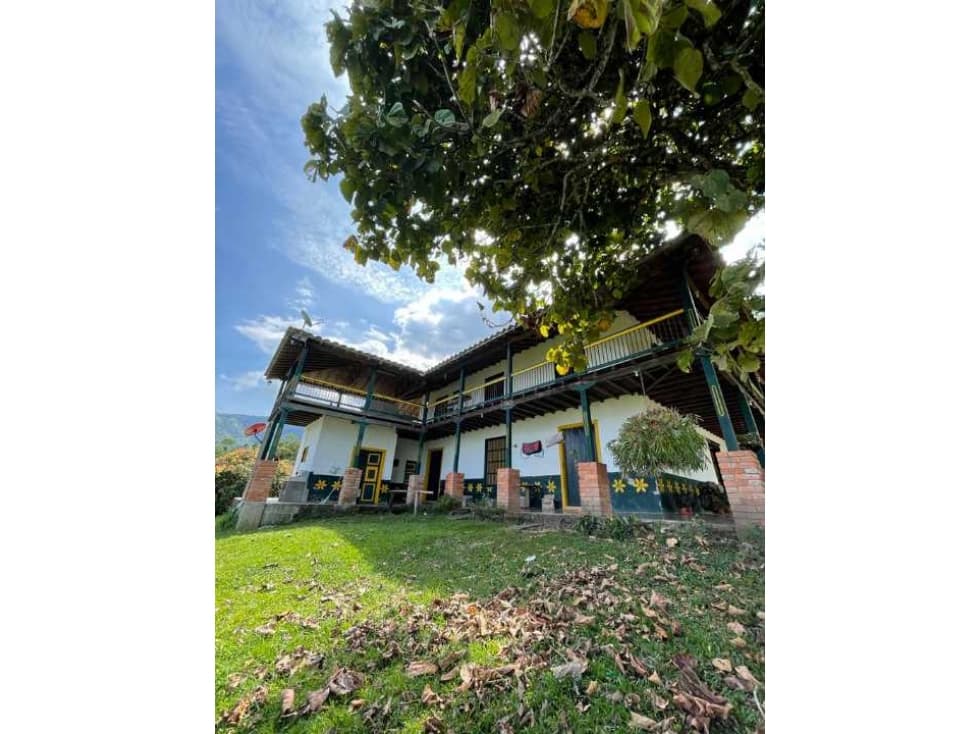 VENTA FINCA GANADERA TÁMESIS, SAN PABLO, SUROESTE ANTIOQUEÑO - 1