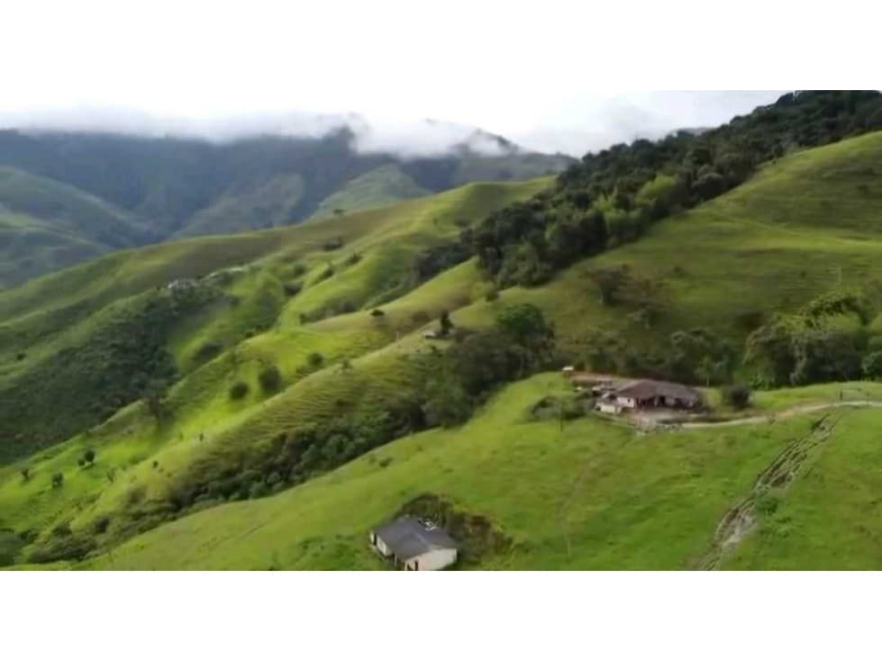 VENTA DE FINCA VERSALLES VALLE - 1