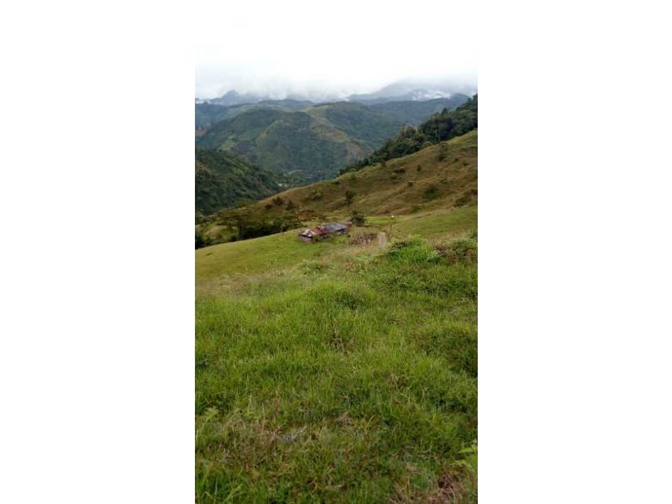 Venta de hermosa finca en Apia Risaralda - 1