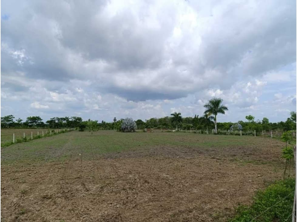 Venta de Hermosa Parcela de 32 Hectáreas en rabo largo Cereté - 1