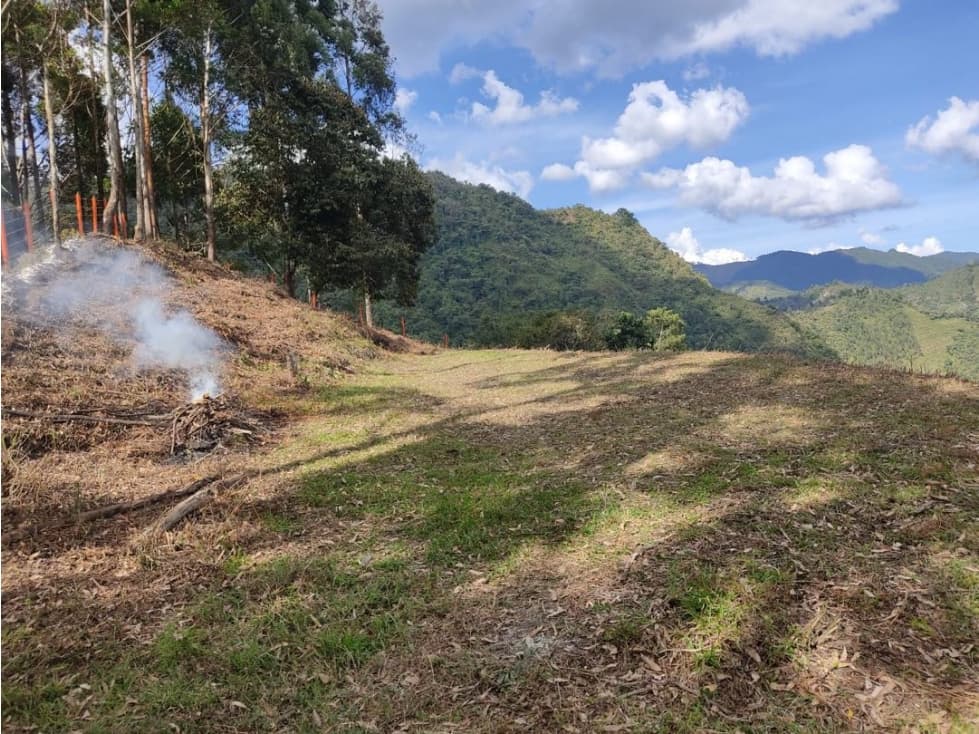 Venta de lote campestre en condominio privada Versalles - 1