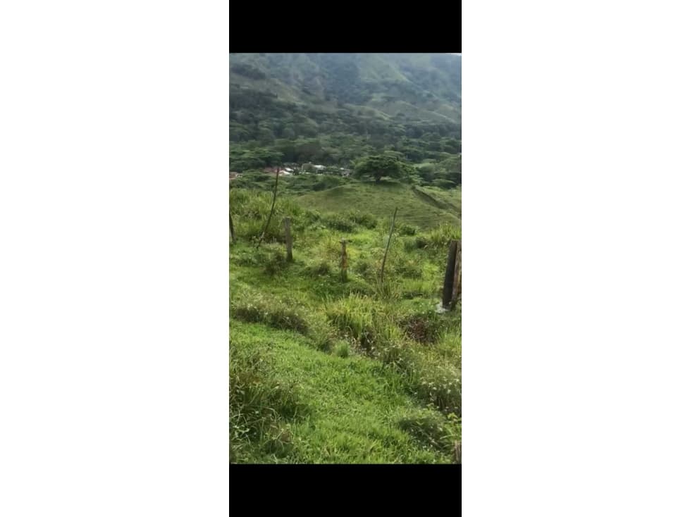 Venta de lote con uso de suelos industrial en La Virginia Risaralda - 1