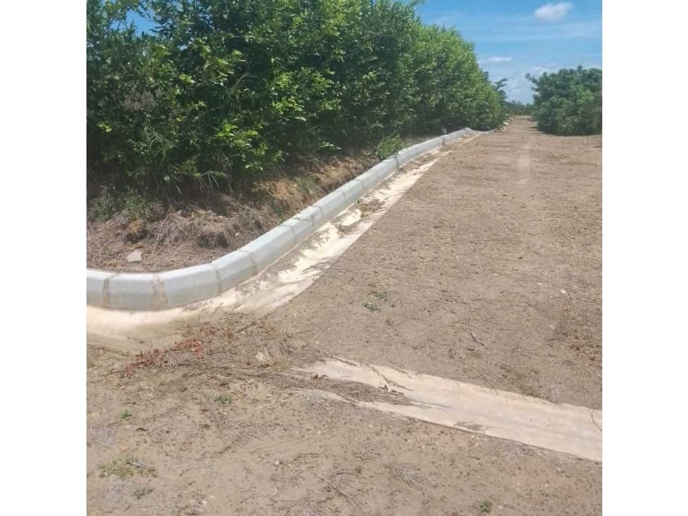 VENTA DE LOTE EN CONDOMINIO CAMPESTRE EN CHOCHO SÍNCELEJO SUCRE - 1