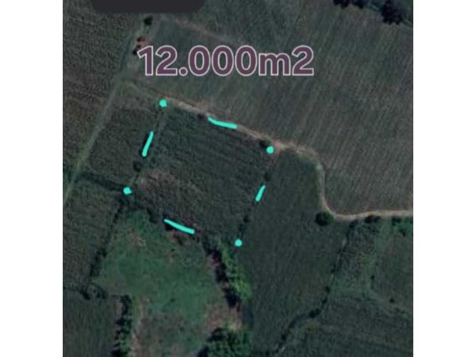 Venta de lote en villa rica cauca vereda San Fernando - 1