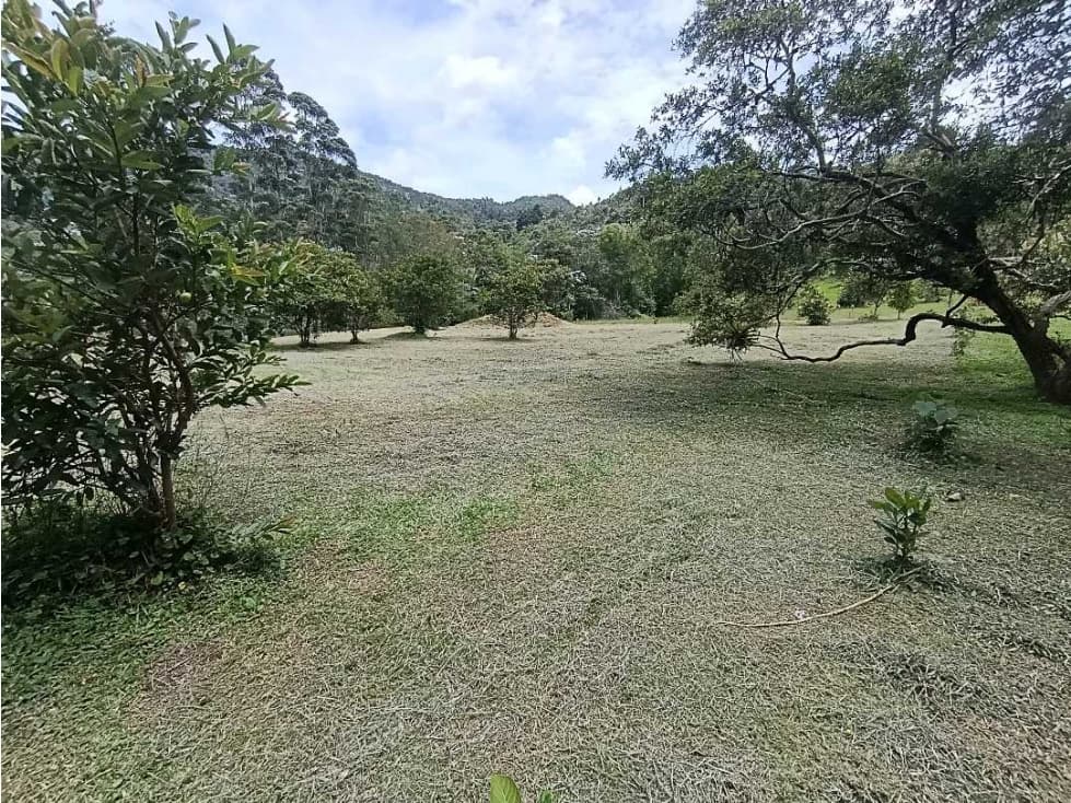 VENTA LOTE INDEPENDIENTE DE 5.000m² EN EL TABLAZO RIONEGRO - 1