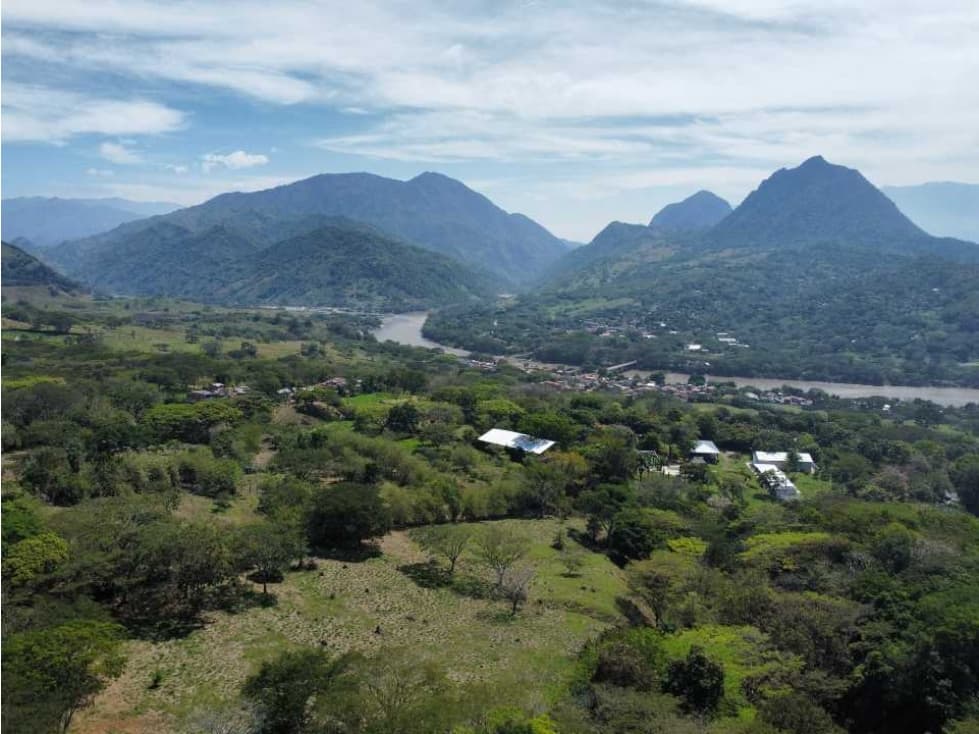 VENTA DE LOTE INDUSTRIAL LA PINTADA, SUROESTE ANTIOQUEÑO - 1