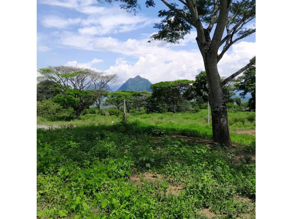 VENTA DE LOTE LA PINTADA, SUROESTE ANTIOQUEÑO. - 1