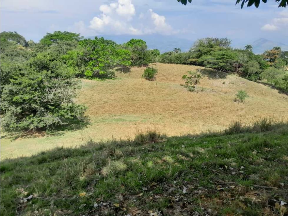 VENTA DE LOTE U/C, LA PINTADA SUROESTE ANTIOQUEÑO - 1