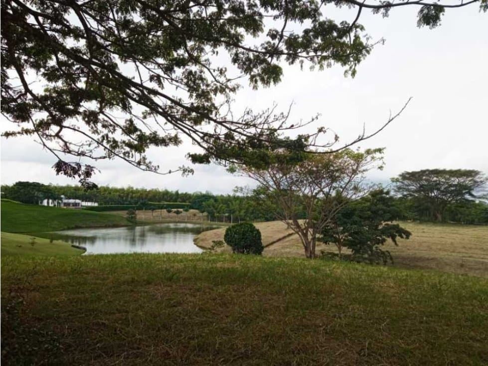 VENTA DE LOTES CAMPESTRES EN PARCELACIÓN VIA PEREIRA,CERRITOS. MALABAR - 1