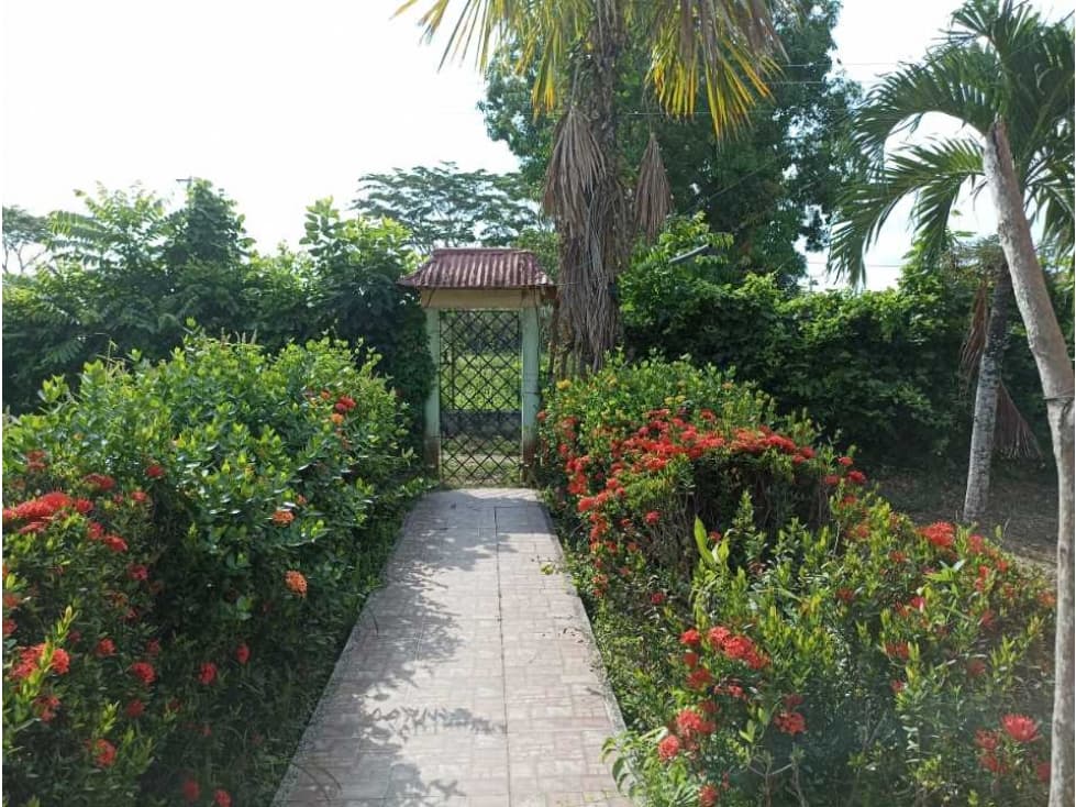 Venta de vivienda campestre ubicada en Cerete, Córdoba, Colombia - 1