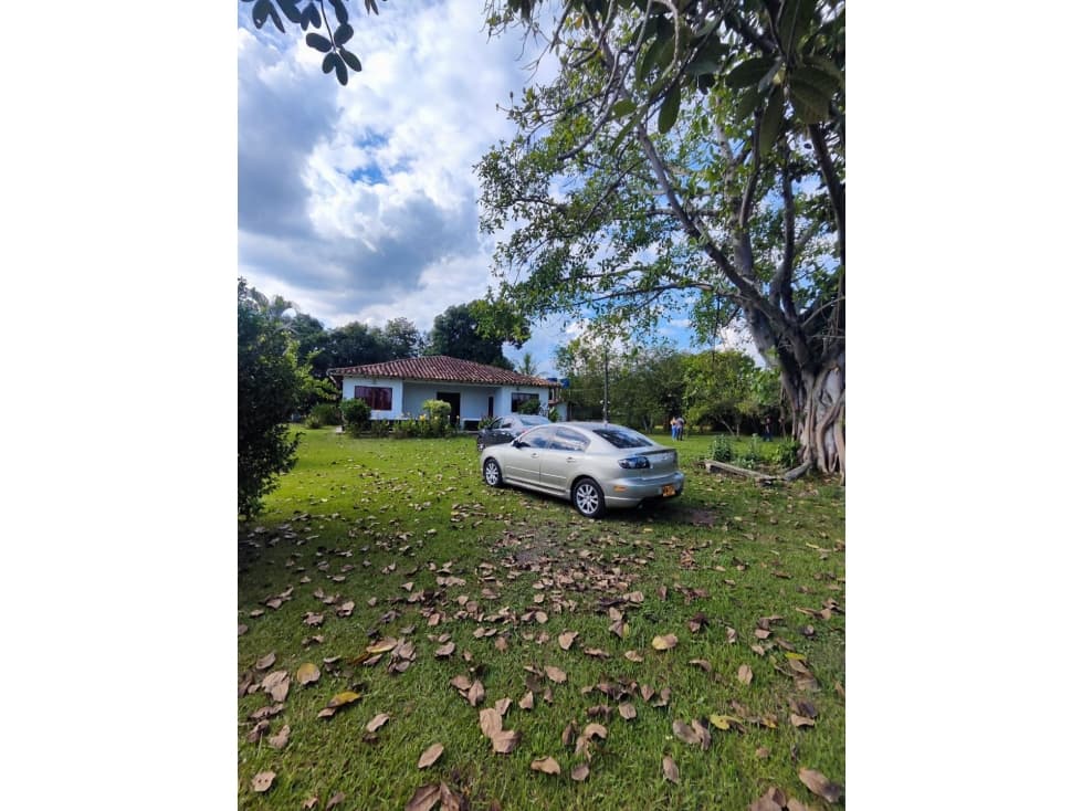 VENTA FINCA EN BUCHITOLO CANDELARIA-VALLE W 20268 - 1