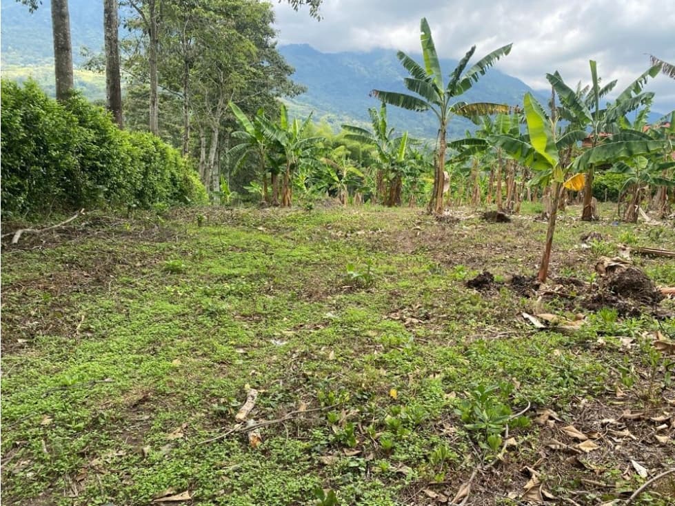 VENTA LOTE - CALARCÁ - 1