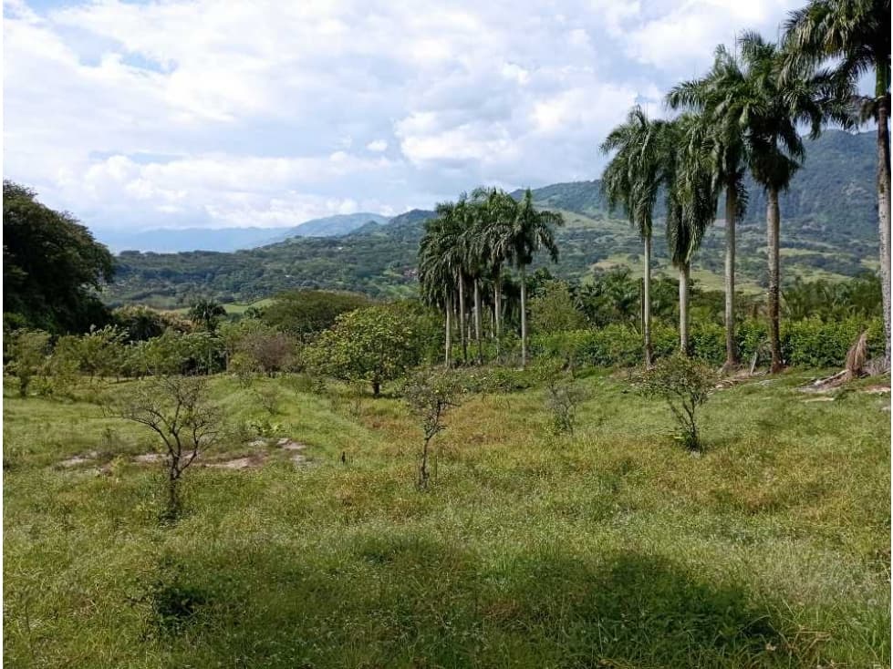 VENTA LOTE LA PINTADA SUROESTE ANTIOQUEÑO - 1