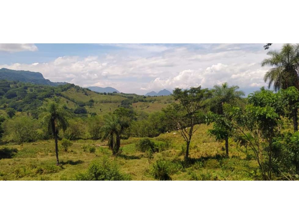 VENTA LOTE LA PINTADA, SUROESTE ANTIOQUEÑO - 1