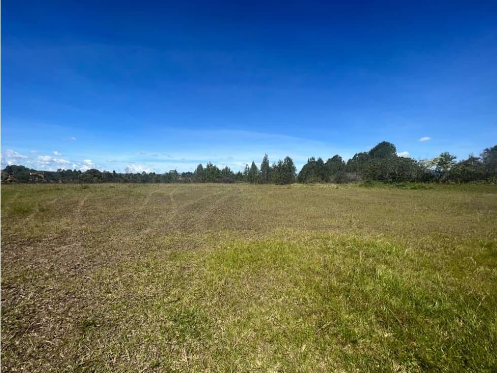 Venta lote llanogrande rionegro - 1