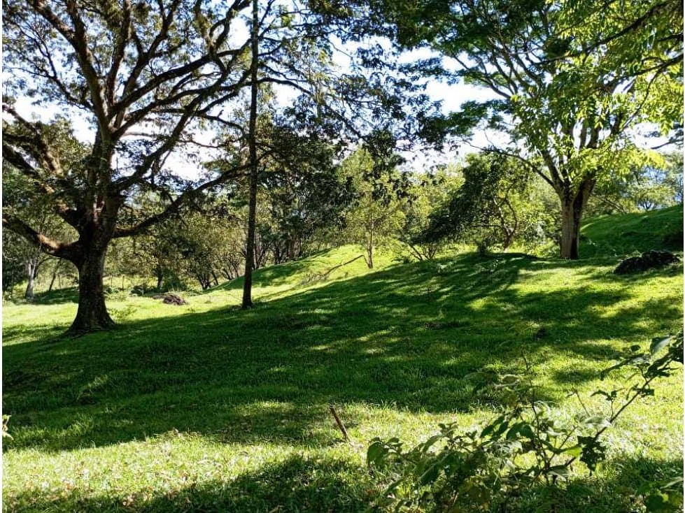 VENTA LOTE PARCELACION LA PINTADA SUROESTE ANTIOQUEÑO - 1
