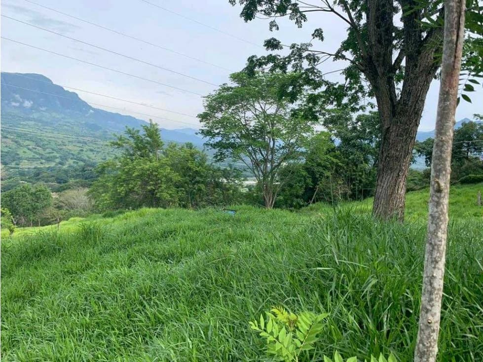 Venta Lote parcelacion La Pintada - 1