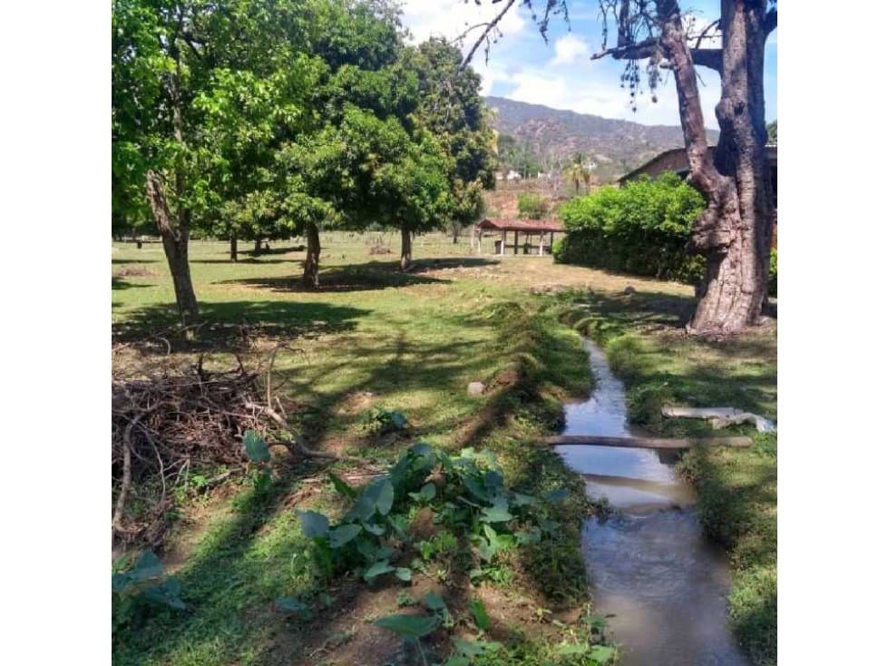 VENTA LOTE SANTA FE DE ANTIOQUIA COD#LSF1 - 1