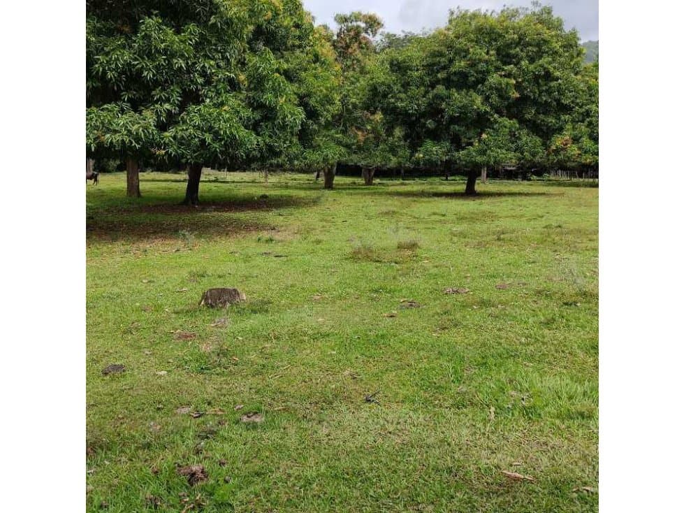 VENTA LOTE SANTA FE DE ANTIOQUIA 1.2Ha - 1